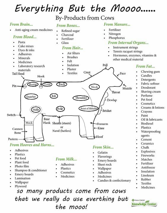 Kind Of Products Come From Cattle (564x720), Png Download