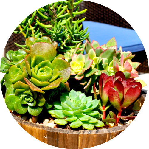 Restaurant & Hotel Arrangements - Artificial Flower (500x500), Png Download