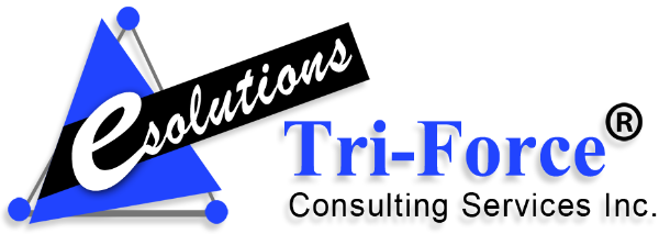 Triforce Inc Logo - Product (600x213), Png Download