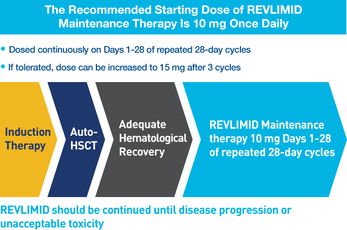 Revlimid Maintenance Therapy Dosing - Lenalidomide (684x454), Png Download