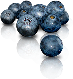 Baies De Maqui (360x360), Png Download