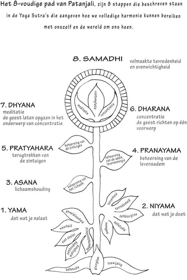 8 Voudige Pad Personal Development, Life Coaching - 8 Voudige Pad Patanjali (625x896), Png Download