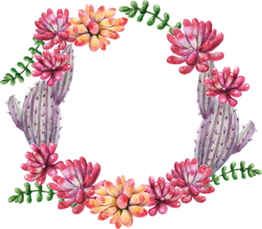 Circle Cactus Flower Wall Sticker - Frida Kahlo Frases Em Português (374x328), Png Download