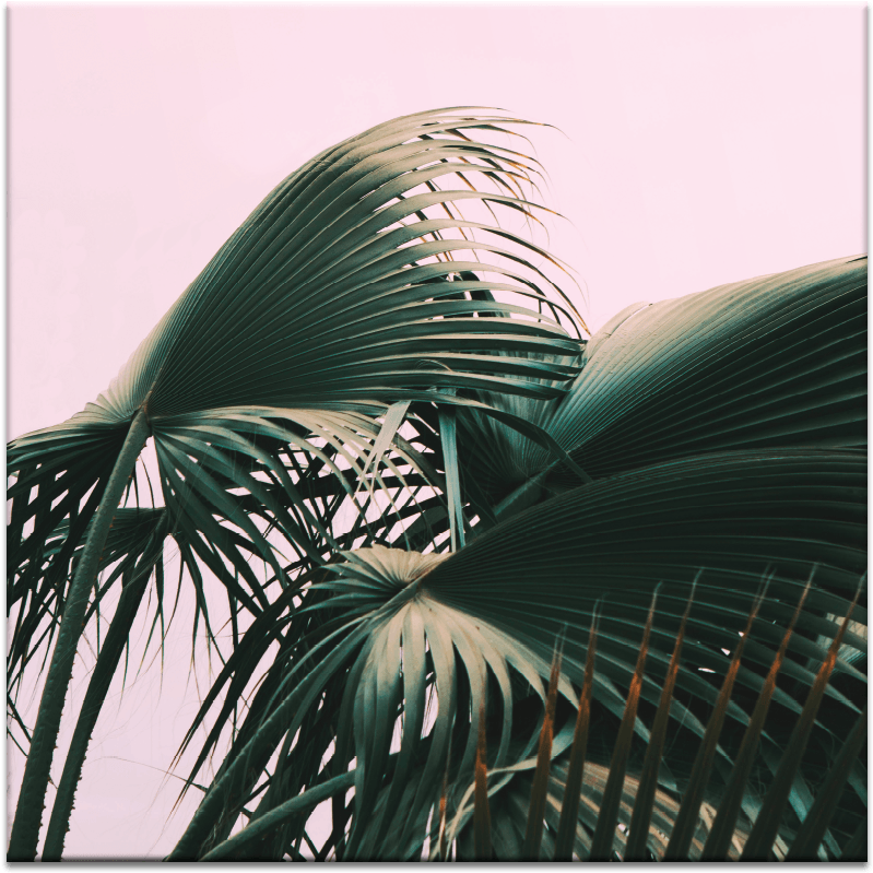 Fern - Typography Doenvang (900x900), Png Download