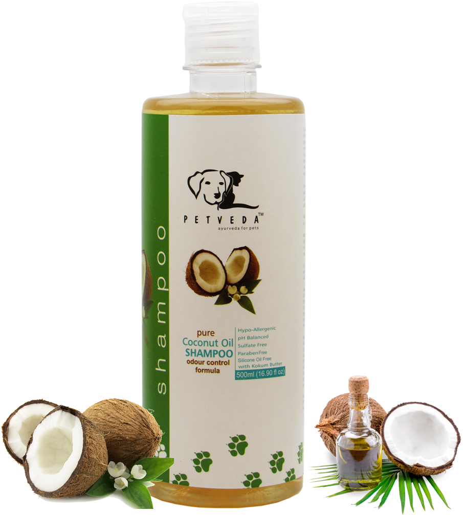 Coconut Oil Shampoo - Prospector Co. Leg Shave Cream 37ml (1200x1500), Png Download