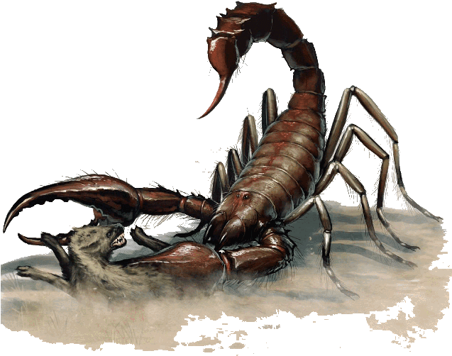 Scorpion, Giant - Dnd 5e Giant Scorpion (636x524), Png Download