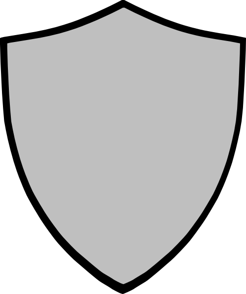 Small - Grey Shield Png (498x595), Png Download