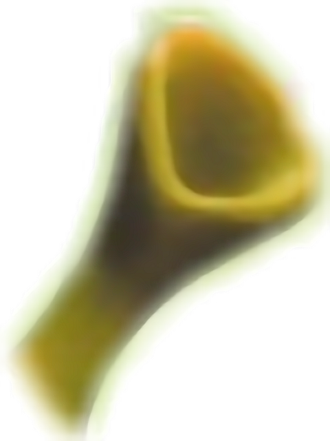 Clipart Ear Shrek - Shrek Ears Png (480x640), Png Download