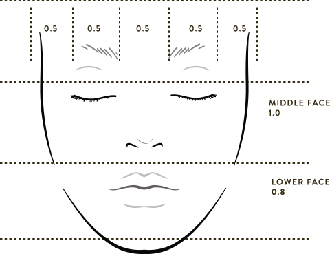 The Golden Ratio - Line Art (480x369), Png Download