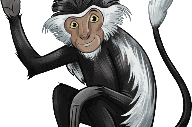 Tumbili Colobus Monkey - Cartoon (900x424), Png Download