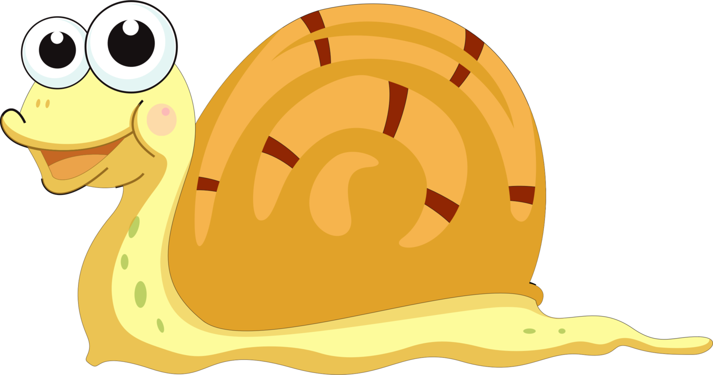 Snail Gastropod Shell Gastropods Cartoon Seashell - Snail Cartoon Png Gif (1426x750), Png Download