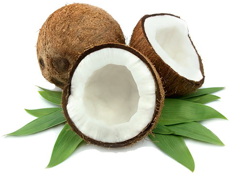 Proven Research On The Benefits Of Virgin Coconut Oil - Tan Smoothie Organic Self Tanning Mousse With Instant (500x373), Png Download