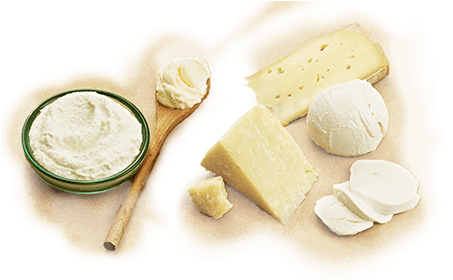 Parmigiano Reggiano Is A D - Beyaz Peynir (452x331), Png Download