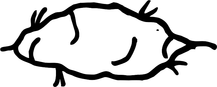 Yam Cliparts - Clip Art (764x308), Png Download