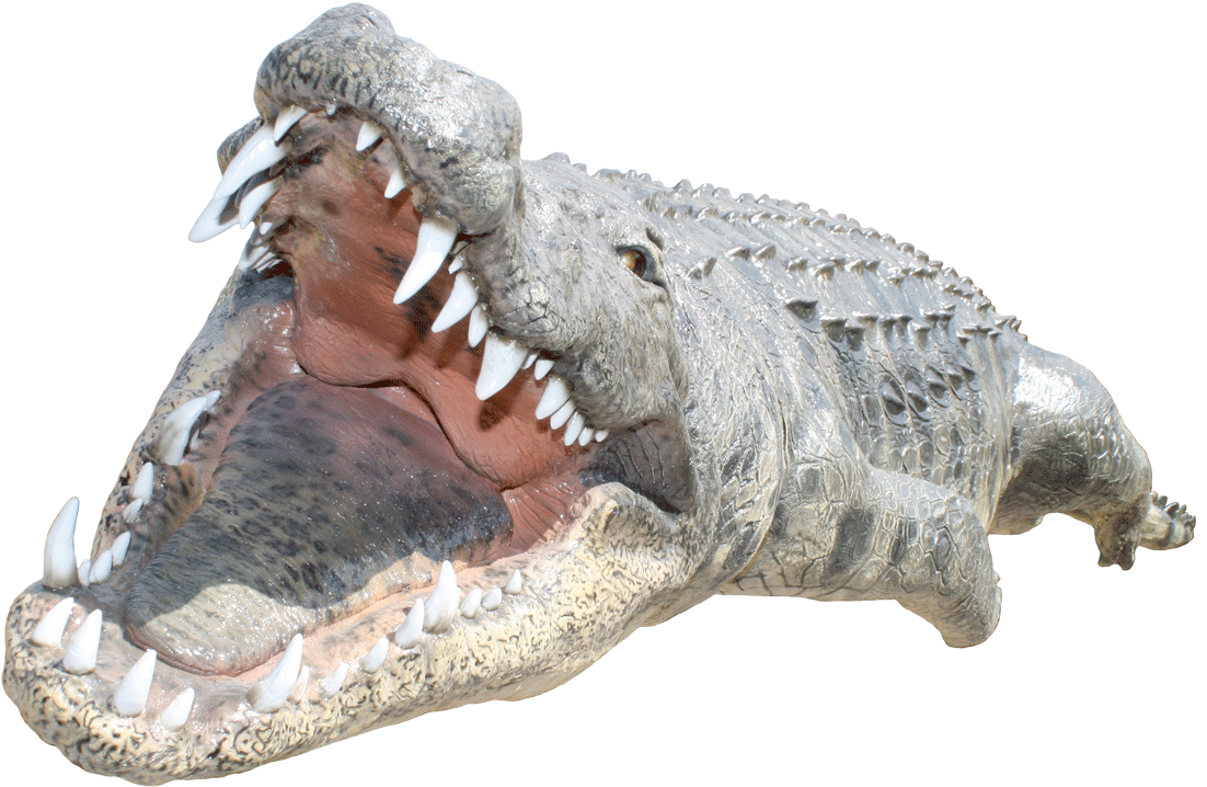 Free Png Crocodile Png Images Transparent - Crocodile Back Png (850x537), Png Download