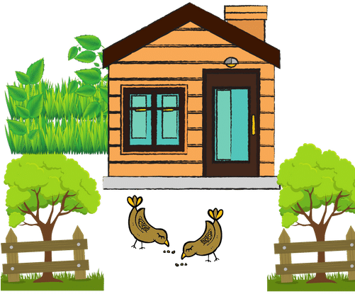 Farmhouse - 0shares - Redfin Real Estate | Tampa, Fl (500x500), Png Download