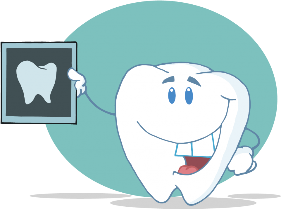 Svg Dental Patient Clipart - Tooth Xray Cartoon (1024x780), Png Download