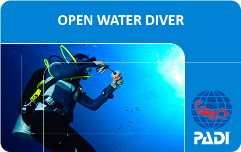 Padi Open Water Diver - Padi Open Water Diver Card (498x340), Png Download