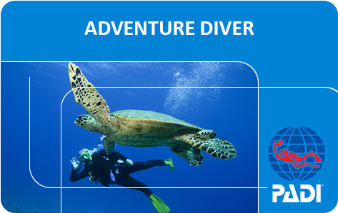 Padi Adventure Diver Course - Padi Open Water Diver Card (498x340), Png Download