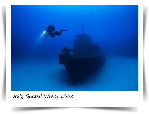 Scuba Diving In Malta - Fa&mi Power Led 50 (520x385), Png Download