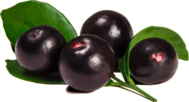 Açaí Fruta Png - Acai Berries (635x343), Png Download