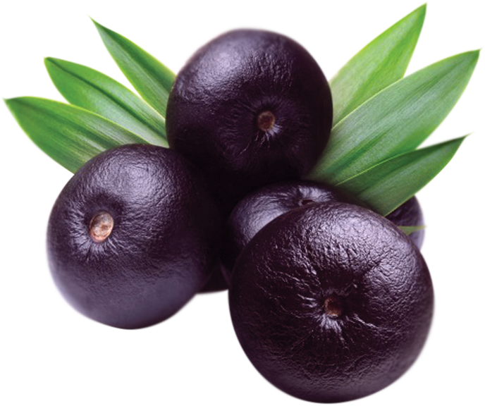 Acaı Berry (688x576), Png Download