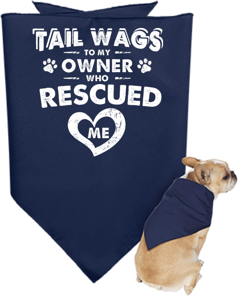 Load Image Into Gallery Viewer, Tail Wags To My Owner - Customcat 3905 Doggie Bandana (1155x1155), Png Download