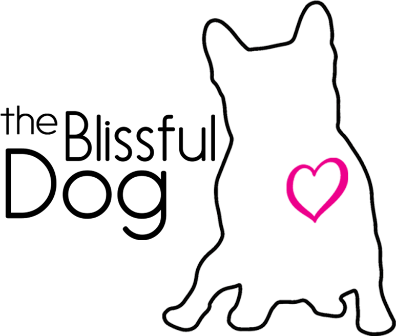 Dog (800x800), Png Download