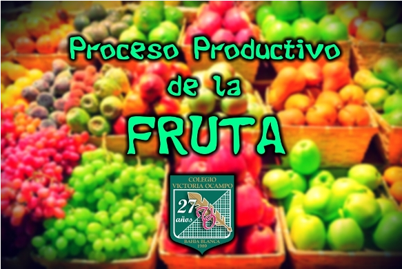 Proceso Productivo De La Fruta - Trái Cây Nhập Khẩu (960x390), Png Download