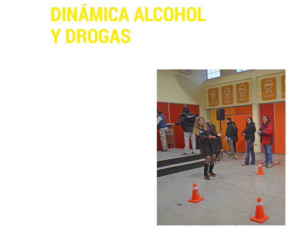 Dinamica Alcohol Drogas - Floor (1647x981), Png Download
