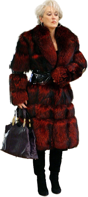 Meryl Streep, Entourage, Photoshop - Fur Clothing (305x680), Png Download