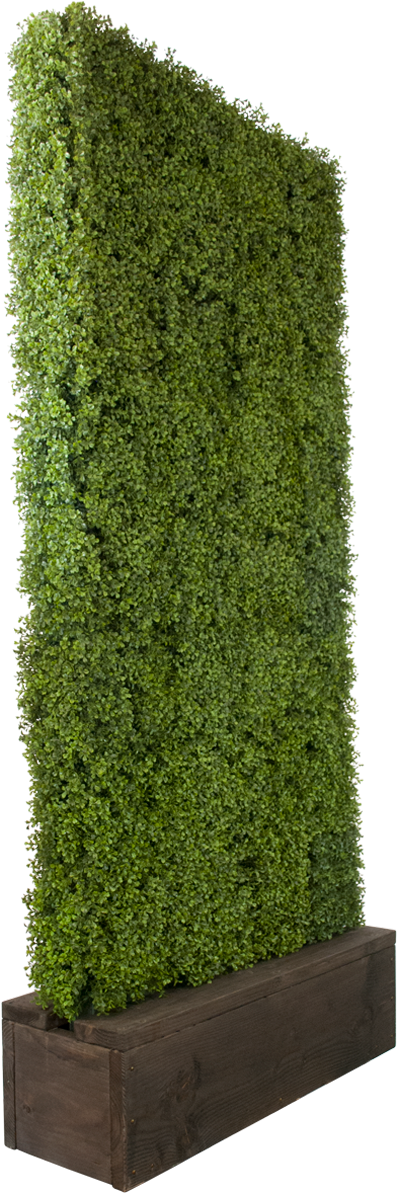 Artificial Boxwood Hedge - Box (1200x1200), Png Download