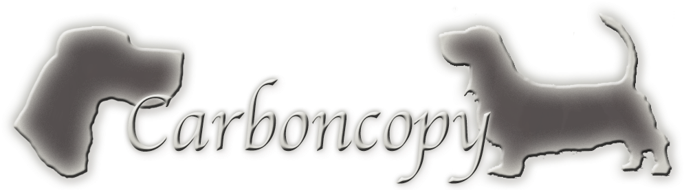 Calligraphy (1054x283), Png Download