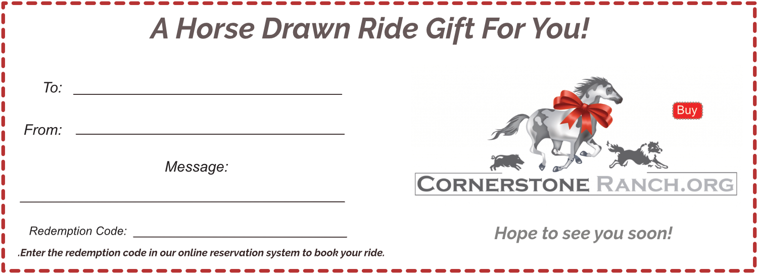 Gift Certificate Fillable - Gift (1500x543), Png Download