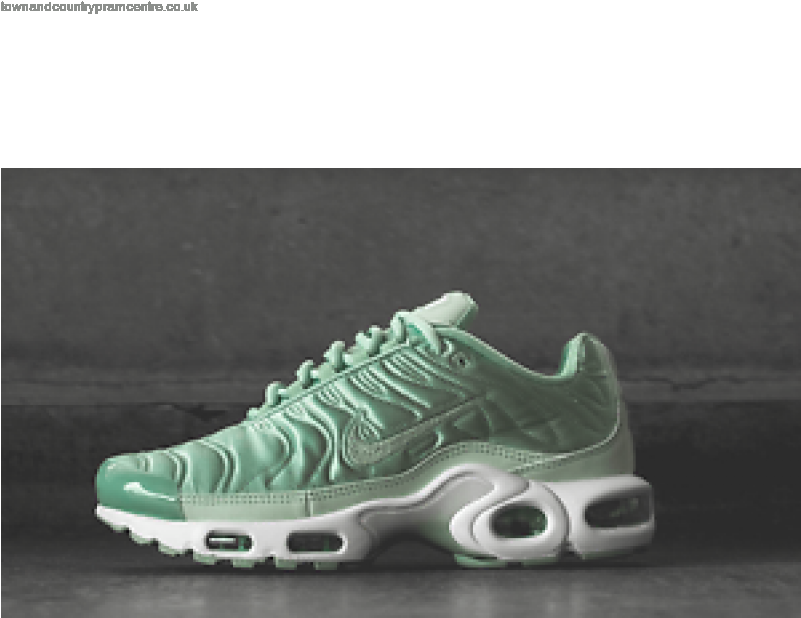 2017 Top Design Womens Trainers Nike Wmns Air Max Plus (800x785), Png Download