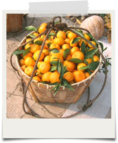 Organic Mandarin Oranges - Mandarin Orange (433x533), Png Download