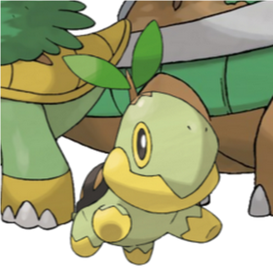 Photo - Turtwig Pokémon (530x528), Png Download