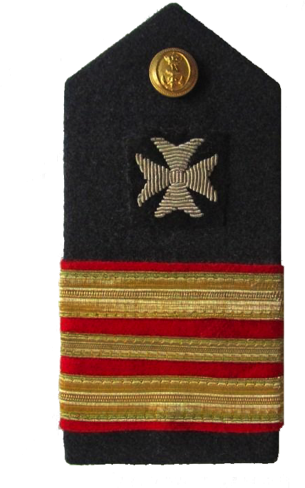 Pala De Comandante De Sanidad De La Armada Española - Military (720x720), Png Download