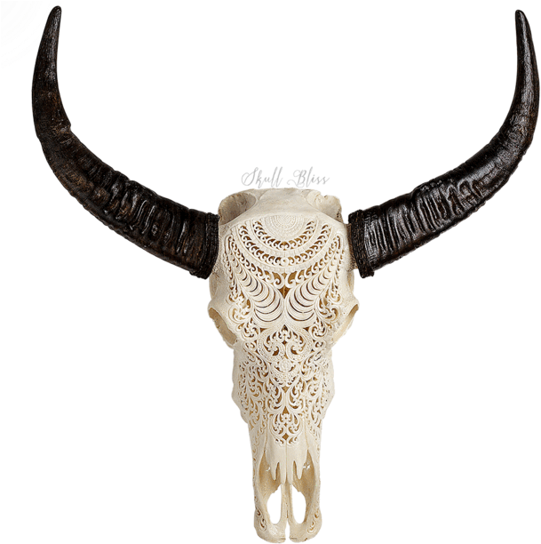 Carved Buffalo Skull - Skull (645x645), Png Download