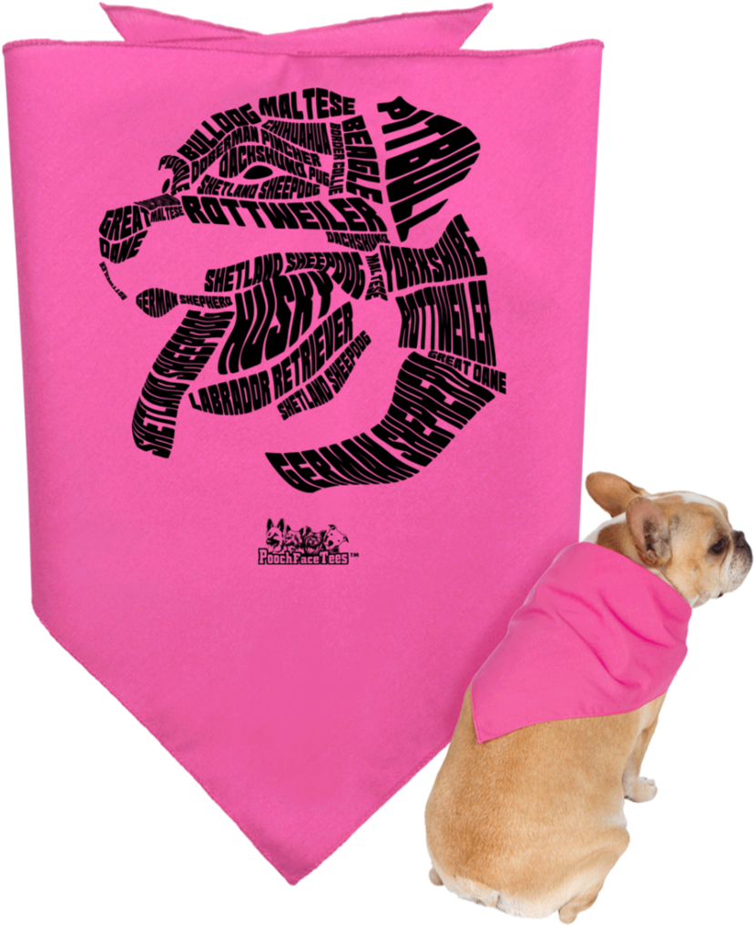 Doggie Bandana - Customcat Certified Badass Doggie Bandana (1024x1024), Png Download
