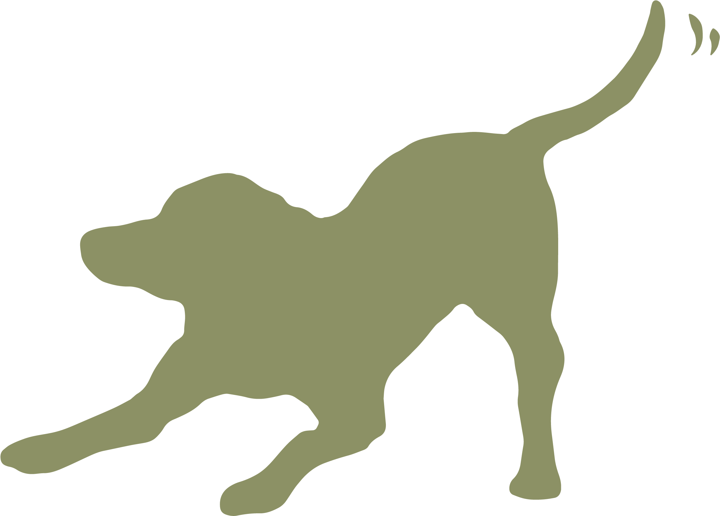 Country - Dog Catches Something (2691x2043), Png Download