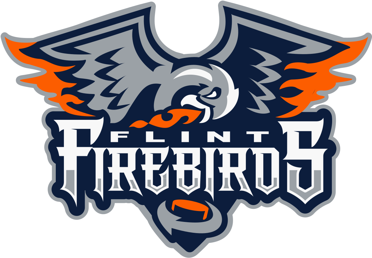 Flint Firebirds Logo Png (1200x834), Png Download