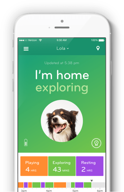 Mobile Tracking Ui - Dog Tracking App (426x658), Png Download