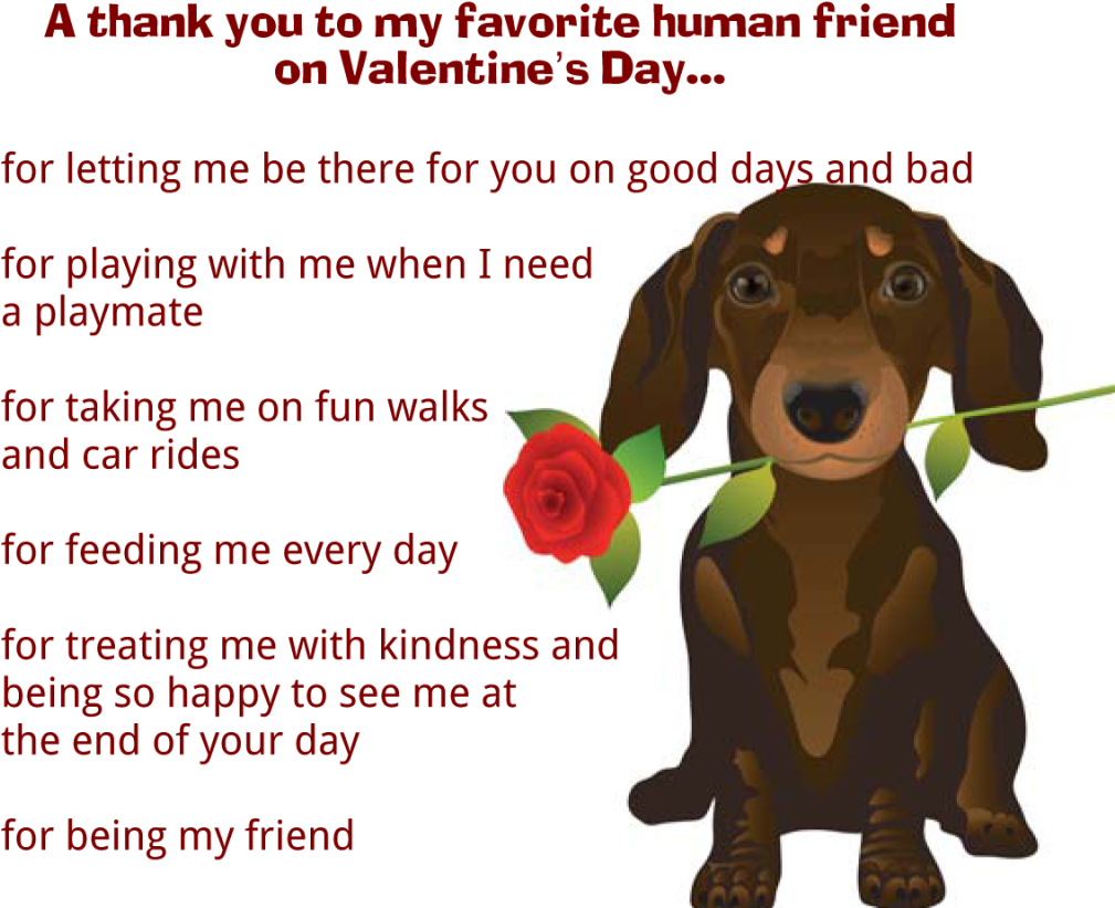 Valentine's Day Message From Dog - Happy Valentines Day Dog (1024x826), Png Download