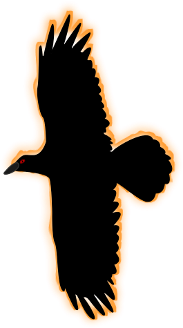 Open - Seabird (1000x1414), Png Download