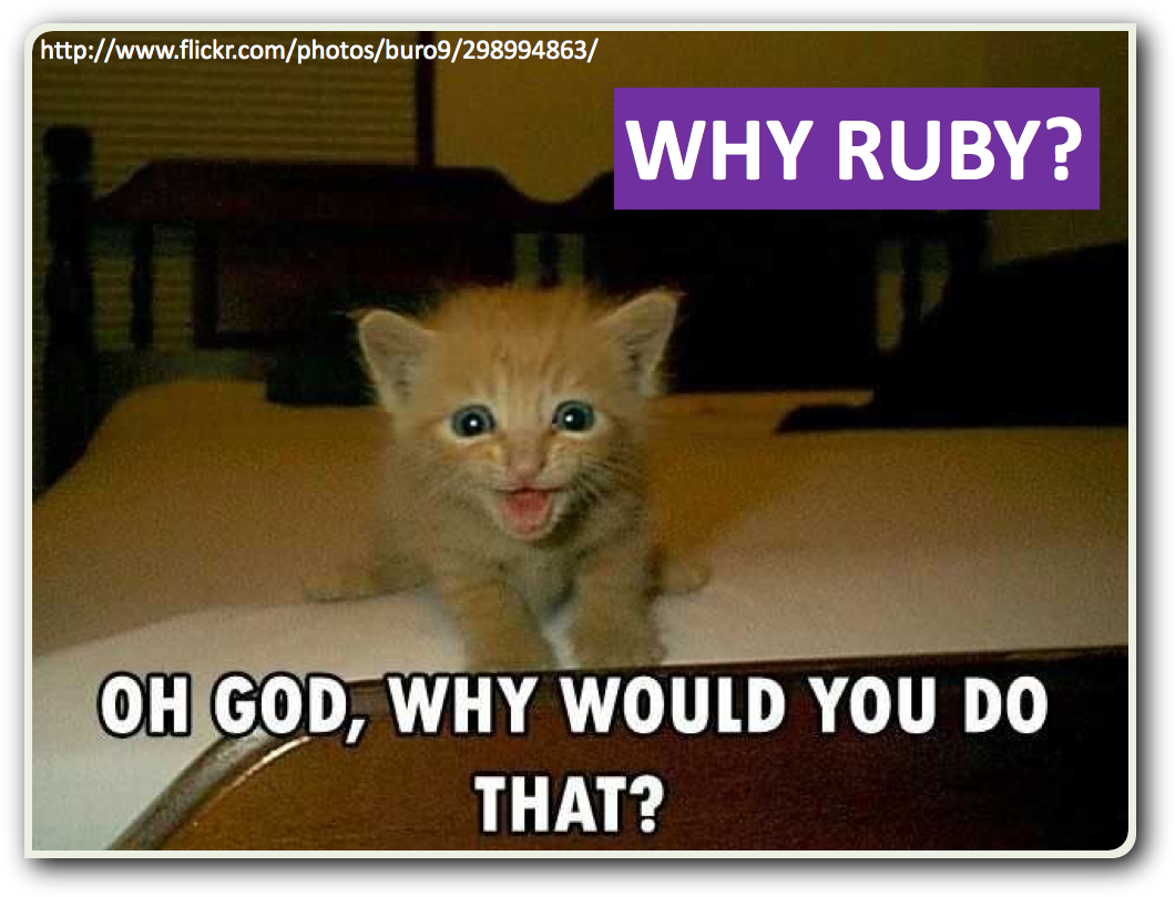 Ruby - Lolcat (1060x810), Png Download