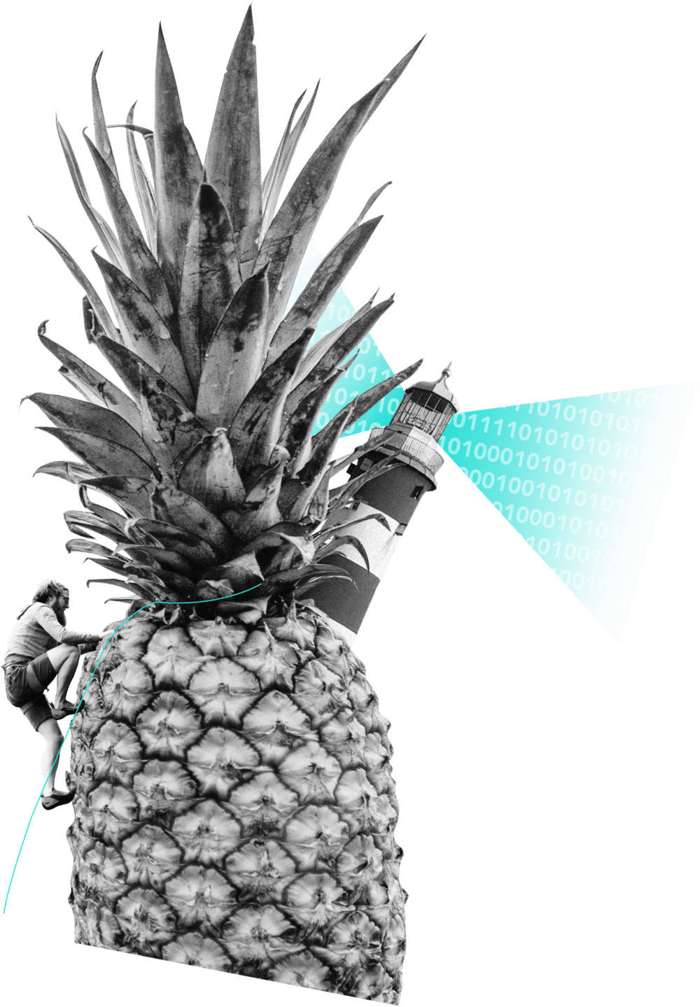 Abacaxi - 3d Rose Tropical Pineapple Set In A Circle Porcelain (1000x1439), Png Download