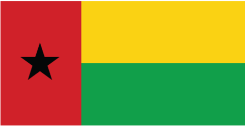 Smarter Items Country Flags Guinea Bissau Flag - Drapeau De La Guinée Bissau (480x384), Png Download