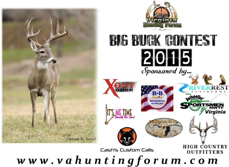 Vahfcontest2 ] - Deer Skull (800x585), Png Download