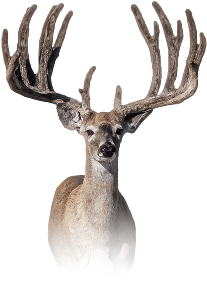 High Heat - Ranch (480x638), Png Download